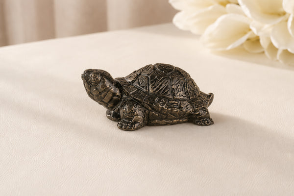 Tortise
